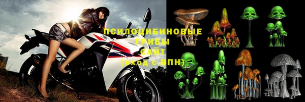 шишки Белокуриха