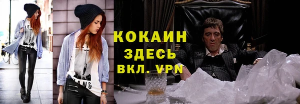 шишки Белокуриха