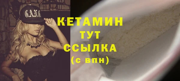 сатива Беломорск