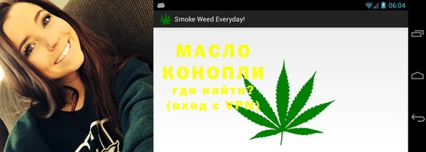 шишки Белокуриха
