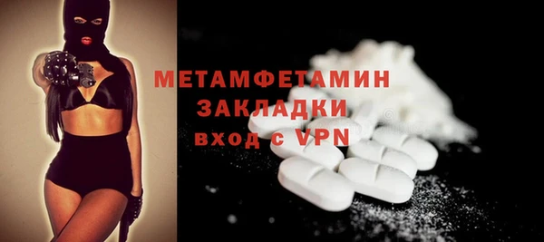шишки Белокуриха
