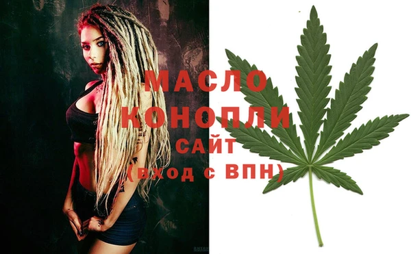 шишки Белокуриха