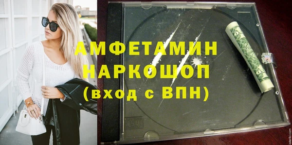 шишки Белокуриха