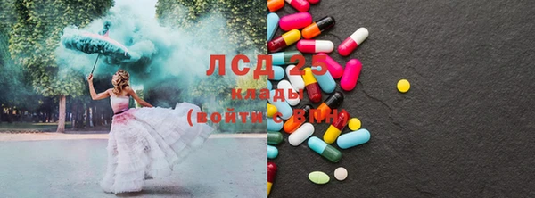 шишки Белокуриха