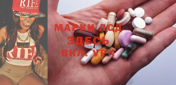 шишки Белокуриха