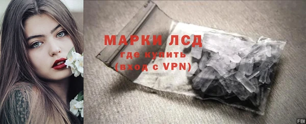 сатива Беломорск