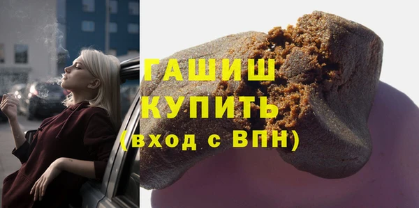 сатива Беломорск