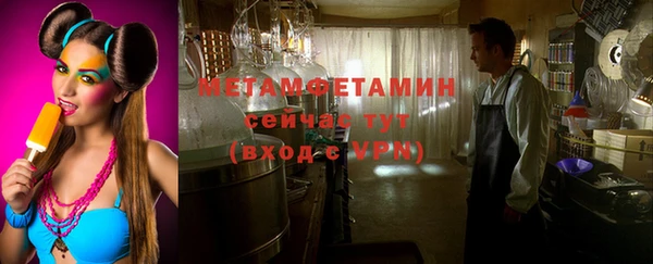 шишки Белокуриха